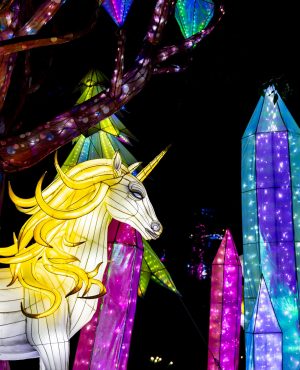 08_UnicornForest_03
