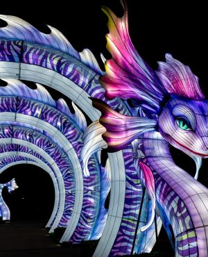 12_SeaMonsterCorridor_09
