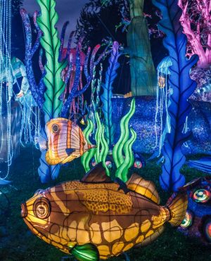 CoralReef2025_JeffFuscoforTianyu (42)
